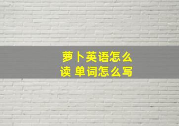 萝卜英语怎么读 单词怎么写